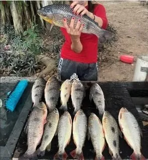 Imagem Rancho/Pesqueiro à Venda às Margens do Rio | Santo Antônio do Leverger/MT