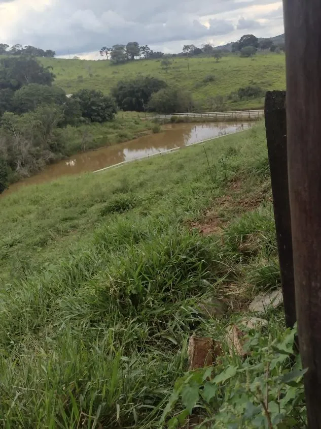 Imagem Excelente fazenda com 194 hectares de terra de cultura disponível para venda