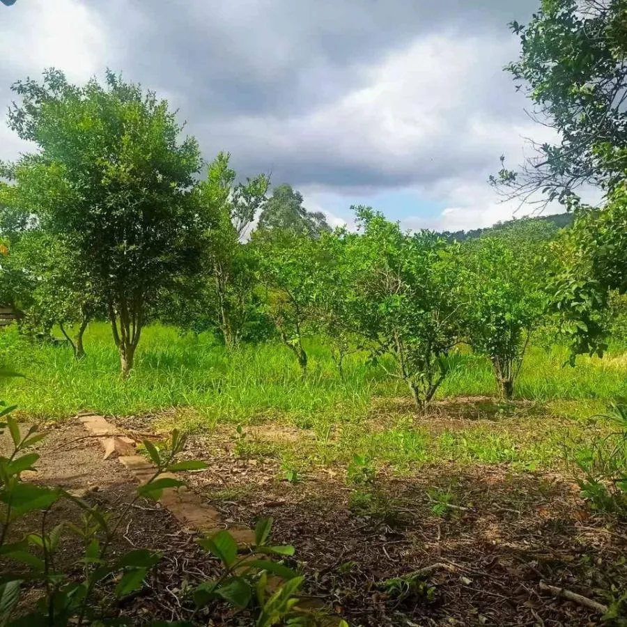 Imagem Chácara para Venda em Novo Hamburgo / RS no bairro Lomba Grande