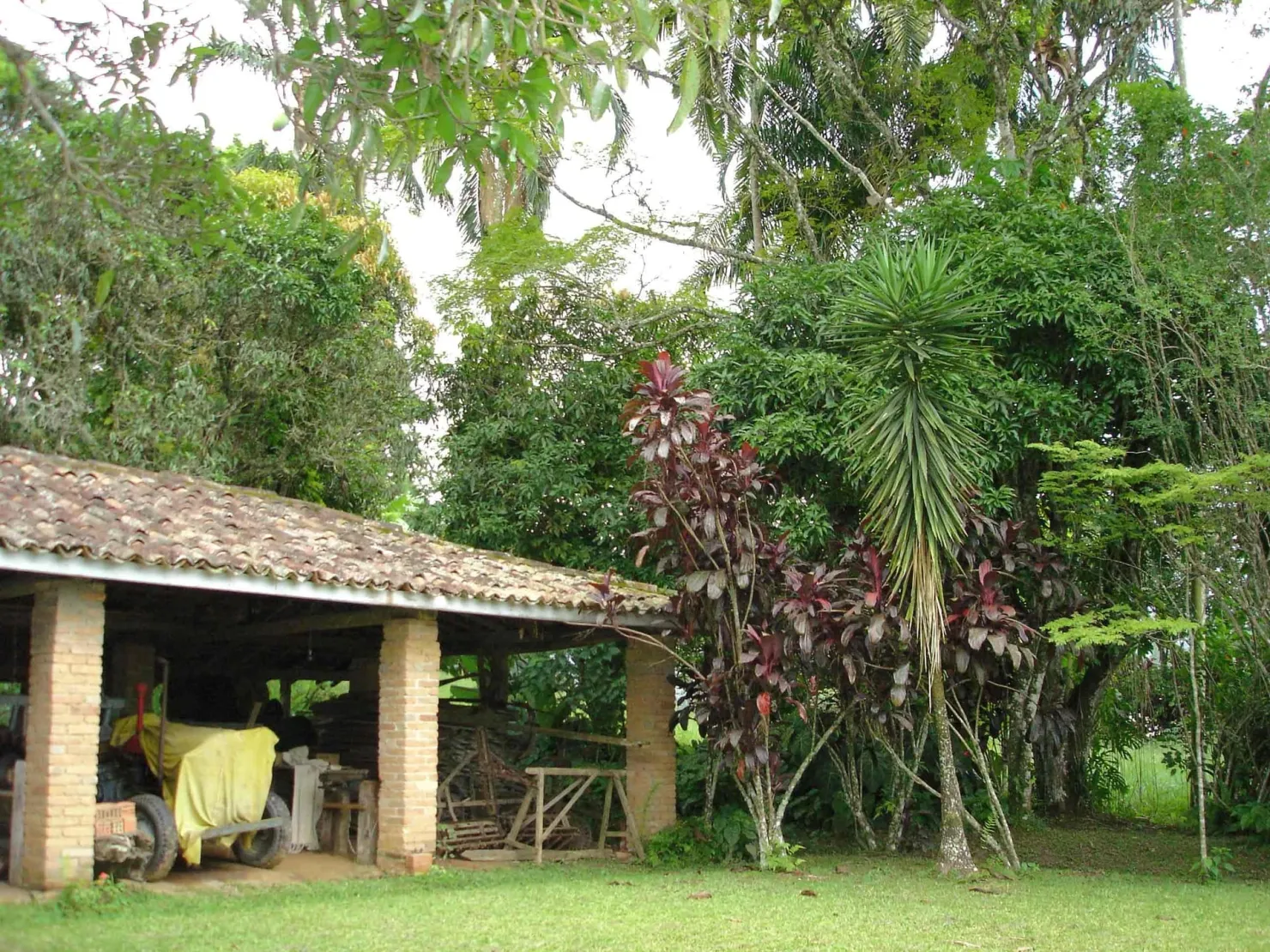 Imagem Sítio à venda 3 Quartos, 49000M², Ribeirão Grande, Pindamonhangaba - SP