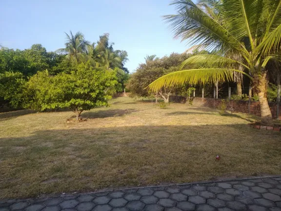 Imagem Terreno à Venda, 5.332 m² em Panaquatira - São José de Ribamar