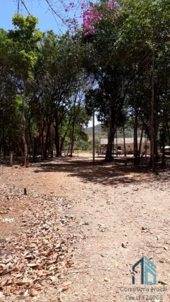 Imagem Fazenda linda 39 alqueires, com casa peão e casa sede, Município de Mossamedes GO