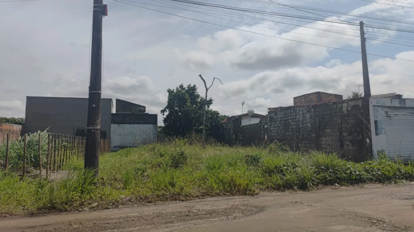 Imagem Terreno para Venda em Itanhaém, São Fernando (Chácaras)