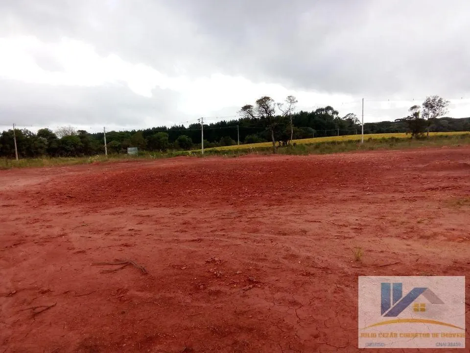 Imagem Terreno para Venda em São José dos Pinhais, Campo Largo da Roseira