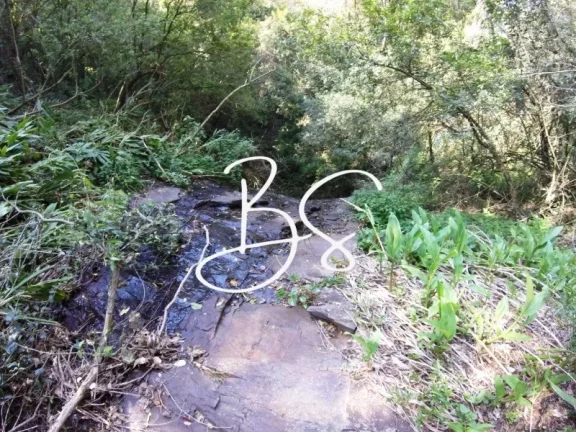 Imagem SITIO RURAL em NOVA PETRÓPOLIS - RS, Linha Pirajá Baixa