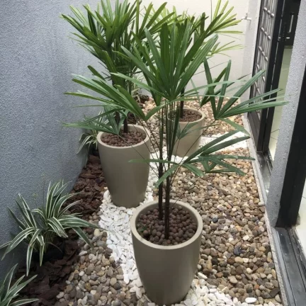 Imagem Bauru/SP, Jardim América, Casa 03 dormitórios (02 suítes)