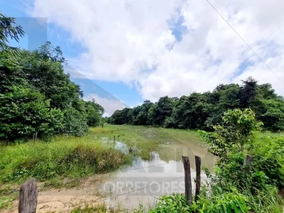 Imagem CASAL IMÓVEIS VENDE ÁREA GRANDE EM TAILANDIA PROX AGROPALMA
