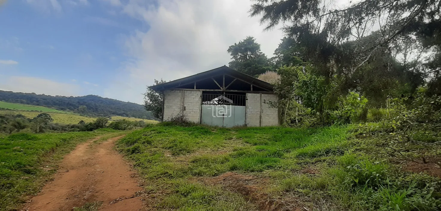 Imagem Fazenda 338,8 ha à venda em Itacolomi, Ipuiúna