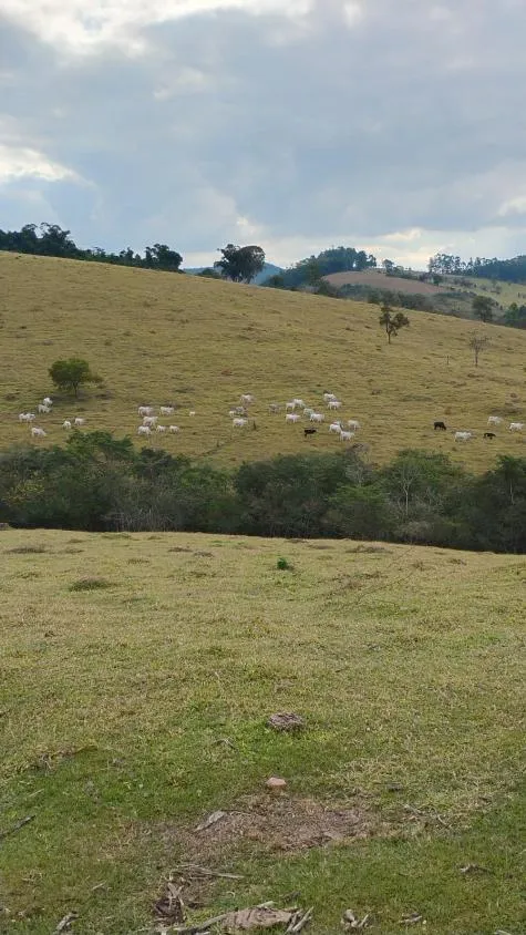 Imagem Fazenda à Venda em Belo Vale/MG | 42 Hectares | R$ 2.800.000,00