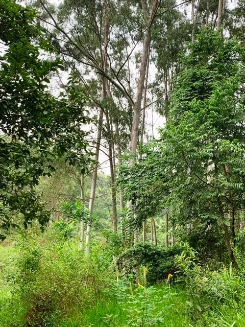 Chácara à venda 994000M², Barreiro, Aparecida - SP