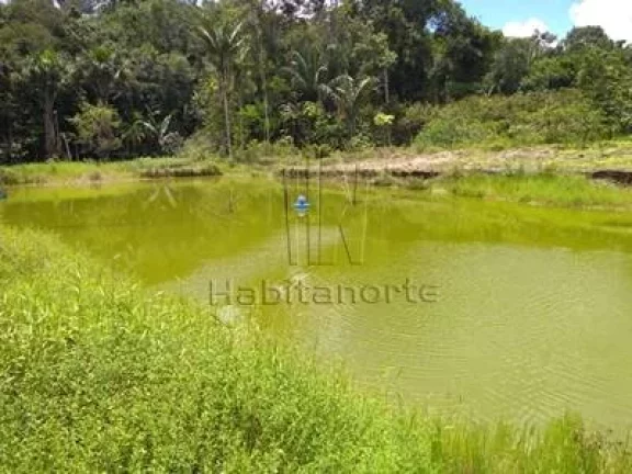 Imagem chácara NO KM23, Ramal do Pau Rosa.