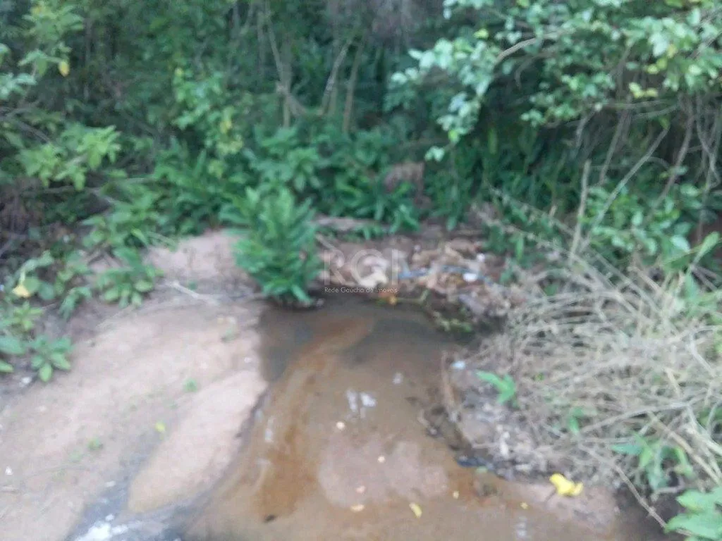 Imagem Terreno em Vila Nova