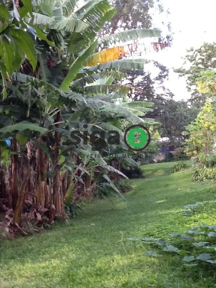 Imagem Terreno à Venda no Morumbi - 500m²