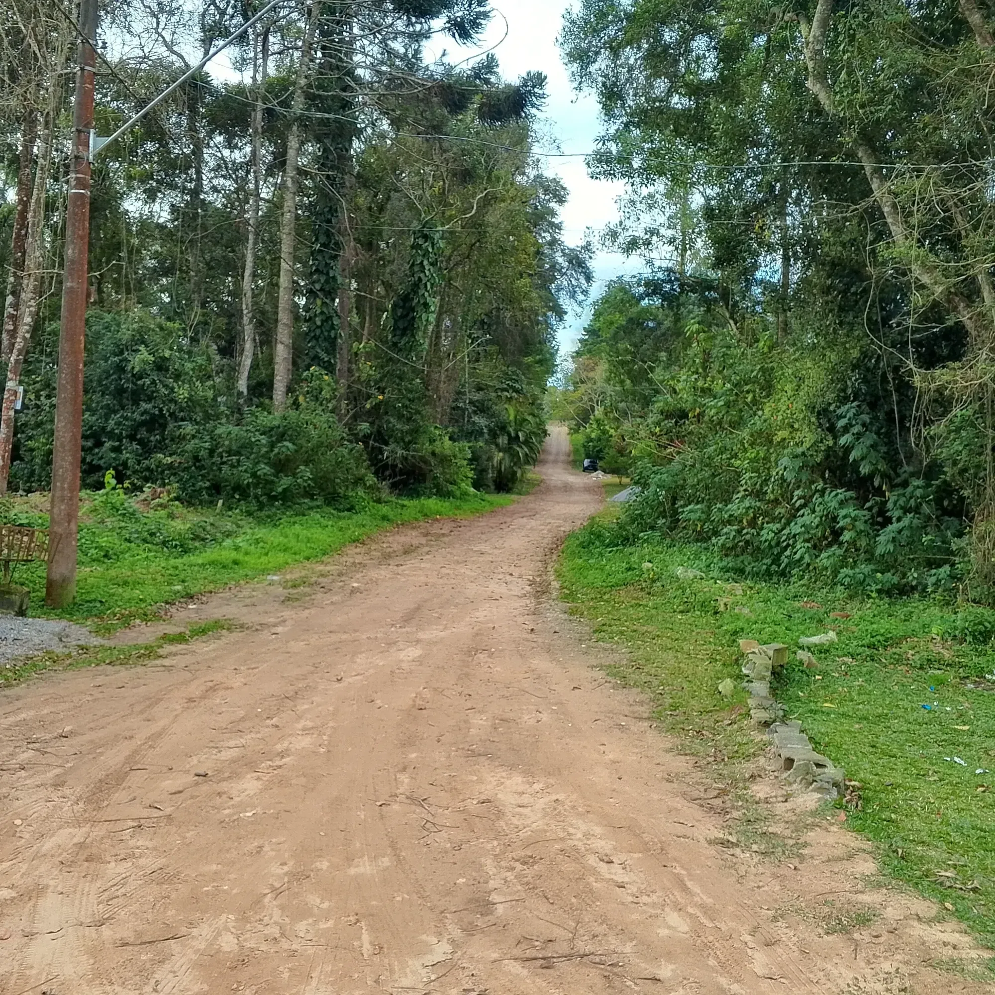 Imagem Chácara com 3 Quartos à Venda, 12.000 m² em Jardim das Cerejeiras - Cotia