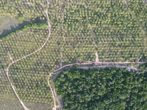 Imagem Paraíso Aibim