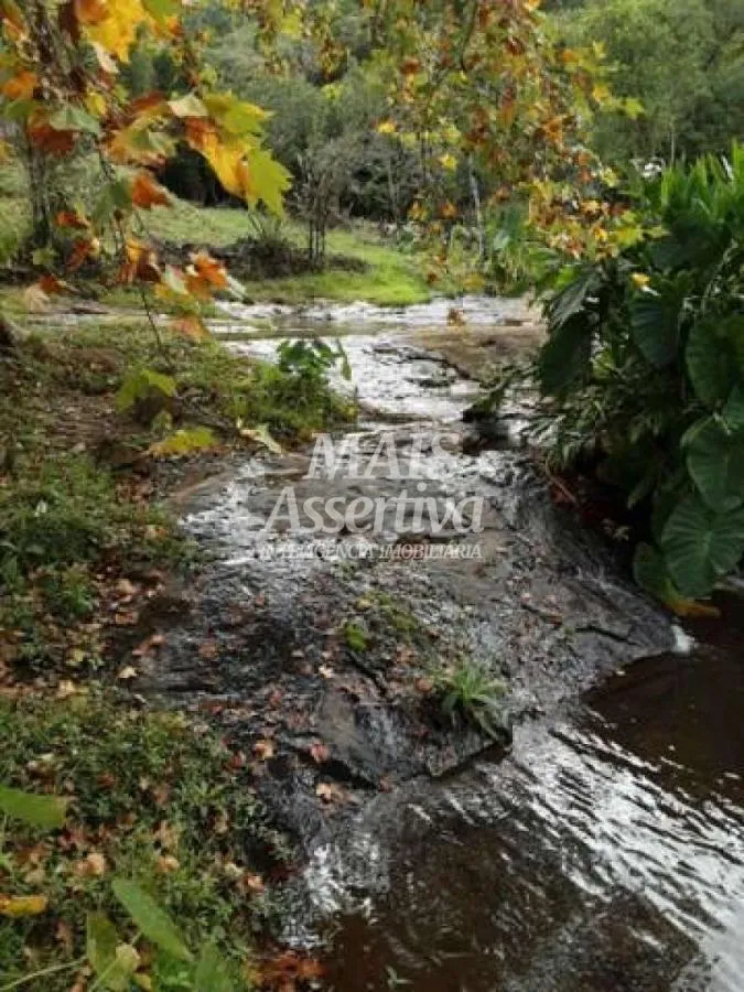 Imagem Sítio para Venda em São Francisco De Paula / RS no bairro Boa Vista
