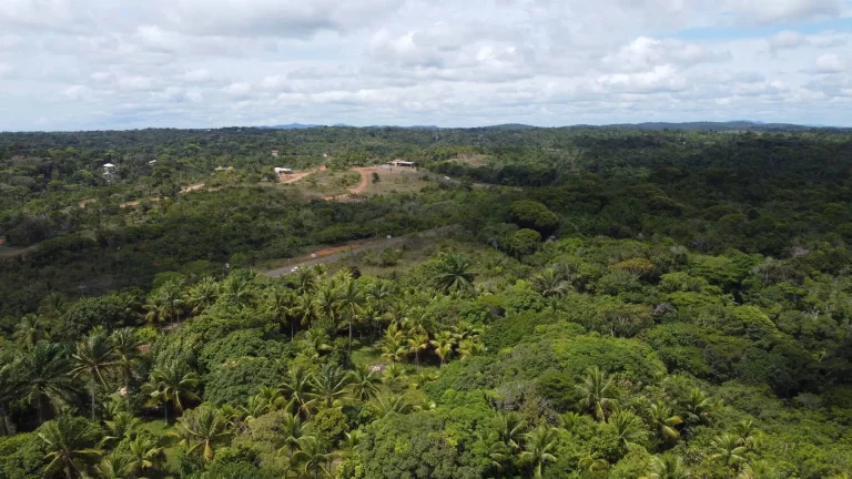 Imagem Excelente terreno em Itacaré cerca de 2 km do centro da cidade com linda vista para formosa peníns...
