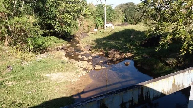 Imagem Chácara à venda Zona Rural, Cruzeiro - SP