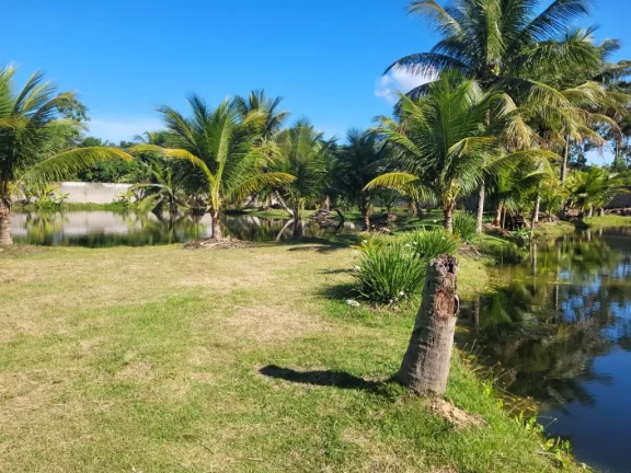 Imagem CHACARA GRANDE A VENDA EM CAMARUGI GUARAPARI -ES