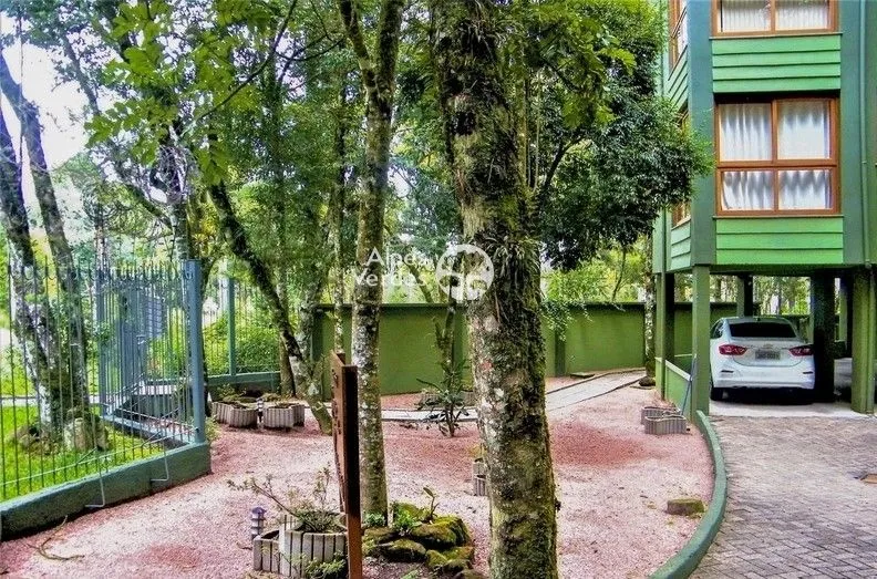 Imagem Em Canela a escolha é uma questão de estado de espirito.
