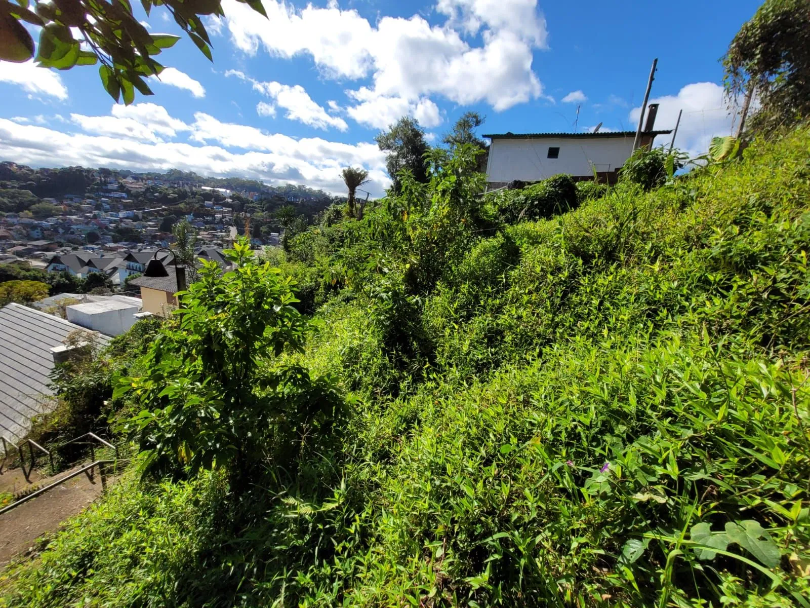 Imagem Lote à venda em Gramado, Piratini, 426m2