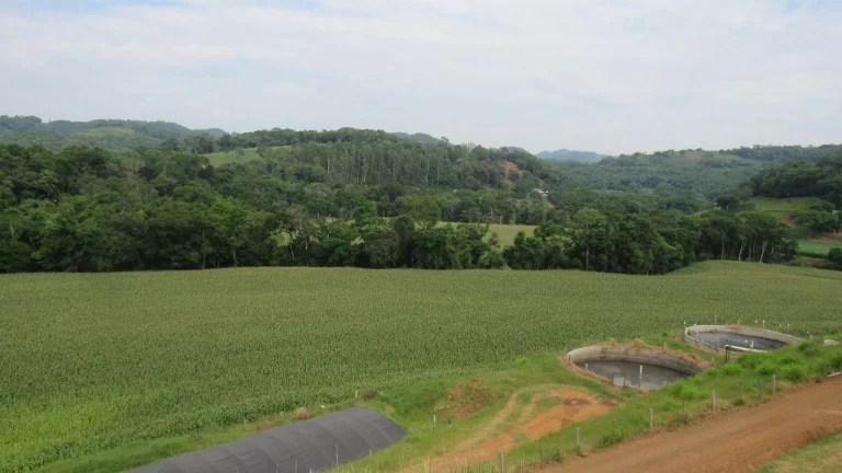 Imagem Área Agrícola para Venda em Peritiba, Lageado Mirim