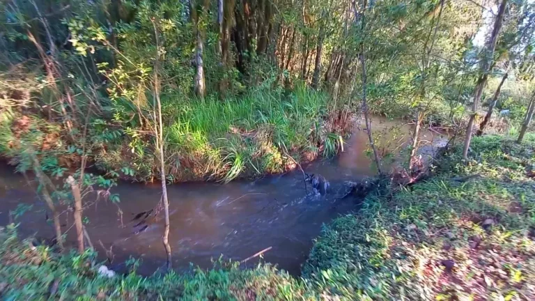 Imagem Chácara para Venda em Tijucas do Sul, Ambrósio