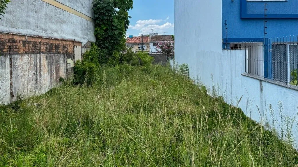 Imagem Terreno em São Geraldo