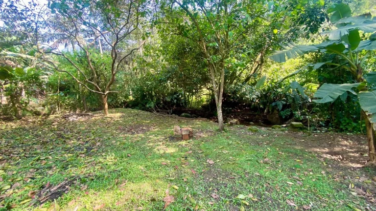 Imagem Oportunidade Imperdível: Casa à Venda em Encantada, Garopaba-SC!