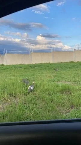 Imagem Terreno à venda 275M², Fazenda Itapecerica, Taubaté - SP | Condomínio Ágata