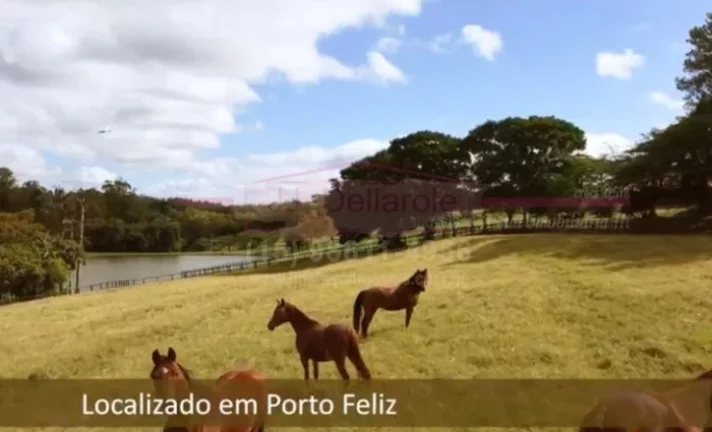 Imagem Haras para venda em Porto feliz com 6 alqueires