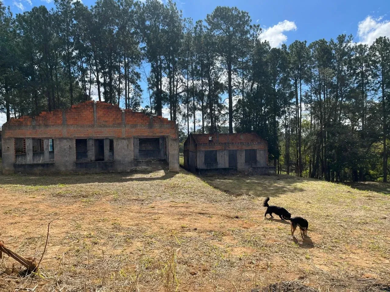 Imagem Terreno à Venda, 1.000 m² em Melissa - Itu
