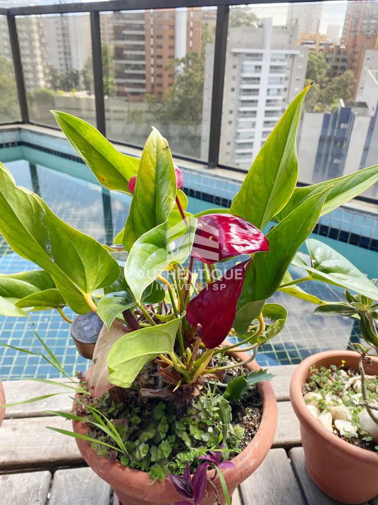 Imagem RIENZI VILA ANDRADE - Apartamento à venda no bairro Vila Andrade - São Paulo/SP, Zona Sul