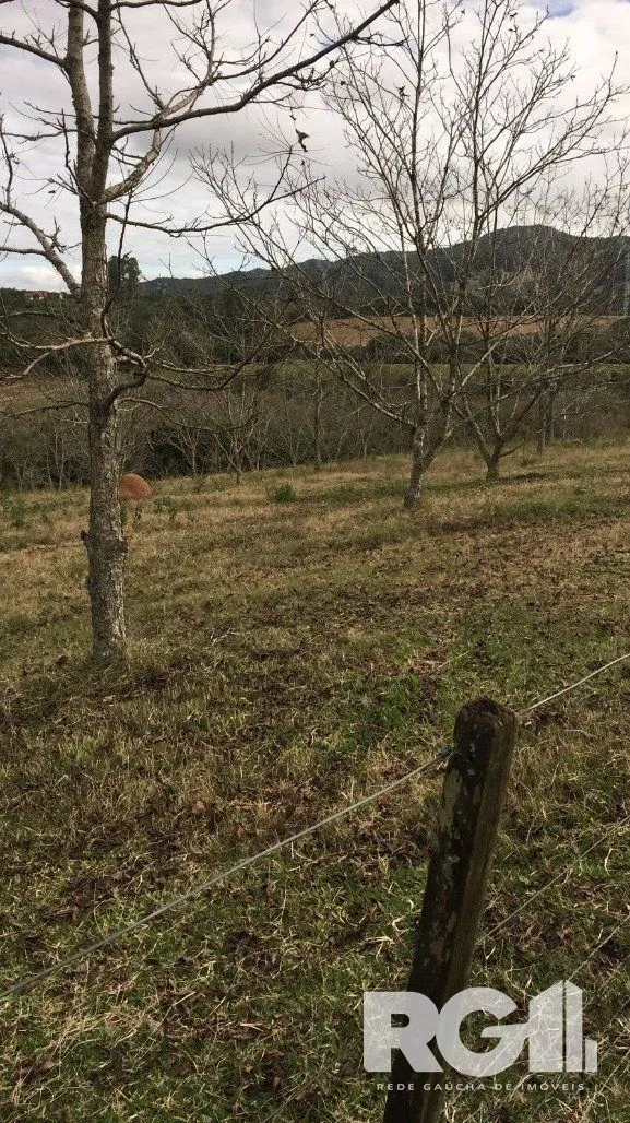 Imagem Excelente Sitio de 22 Ha em Mariana Pimentel.