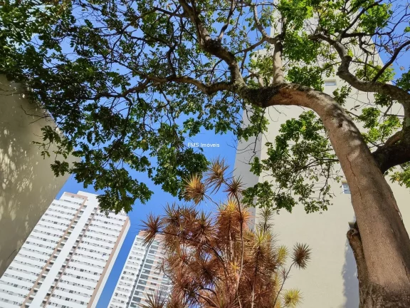 Imagem Apartamento à venda na Aclimação: 2 quartos, 1 suíte, 1 vaga de garagem, 74,18 m² de área em São Paulo-SP