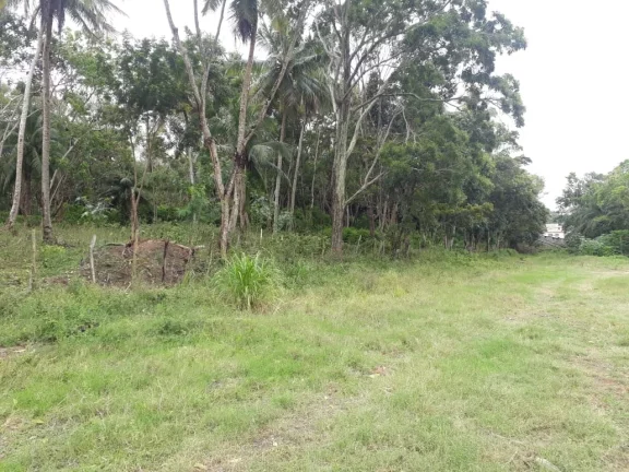Imagem TERRENO EM CAMAÇARI