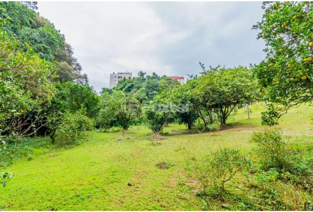 Imagem Terreno em Nonoai