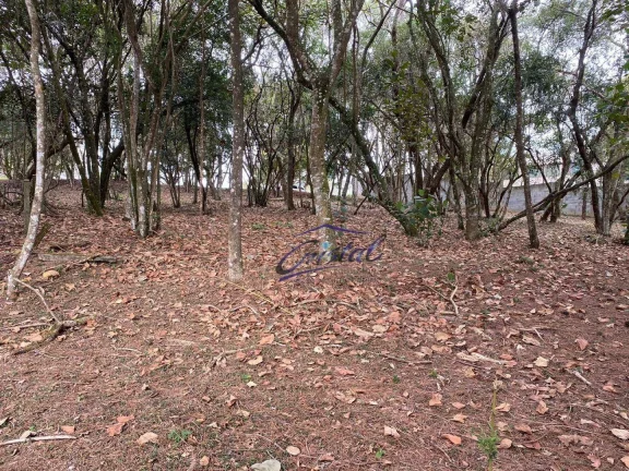 Imagem Terreno à venda, 1575 m² por R$ 1.450.000,00 - Cotia - Cotia/SP