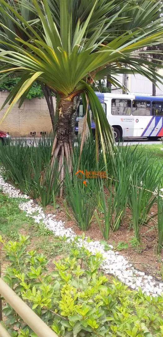 Imagem Apartamento com 2 dormitórios à venda, 47 m² por R$ 281.000,00 - Jardim Ansalca - Guarulhos/SP