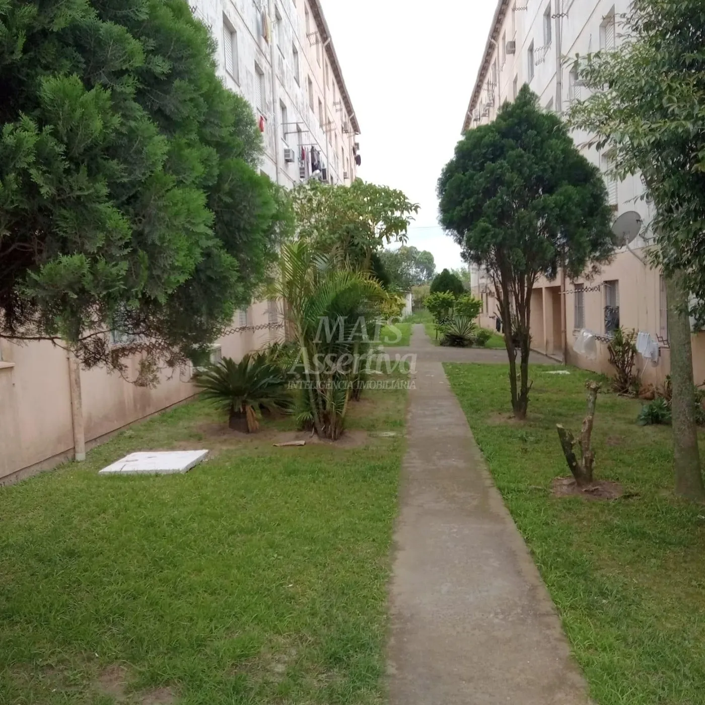 Imagem APARTAMENTO PARA VENDA EM PORTO ALEGRE BAIRRO RUBEM BERTA