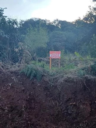Foto do imóvel Terreno para Venda em Concórdia, Santa Cruz em Carlos Maziero