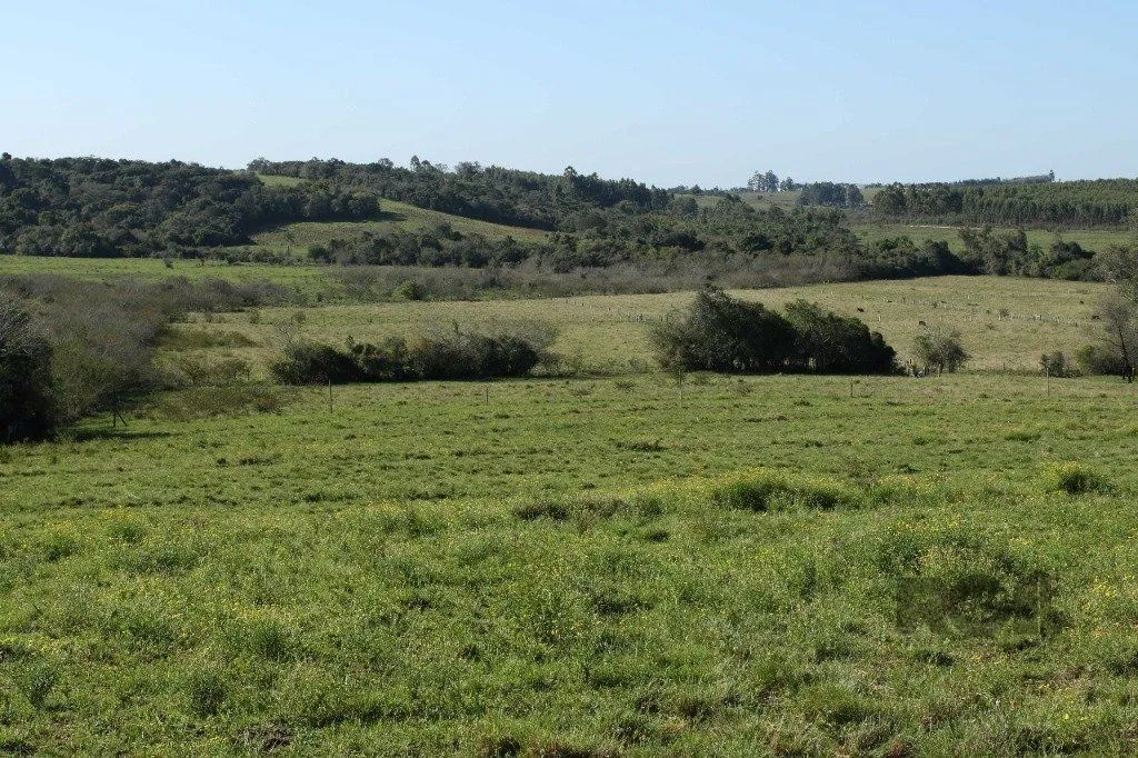 Imagem Terreno em Padre Elly