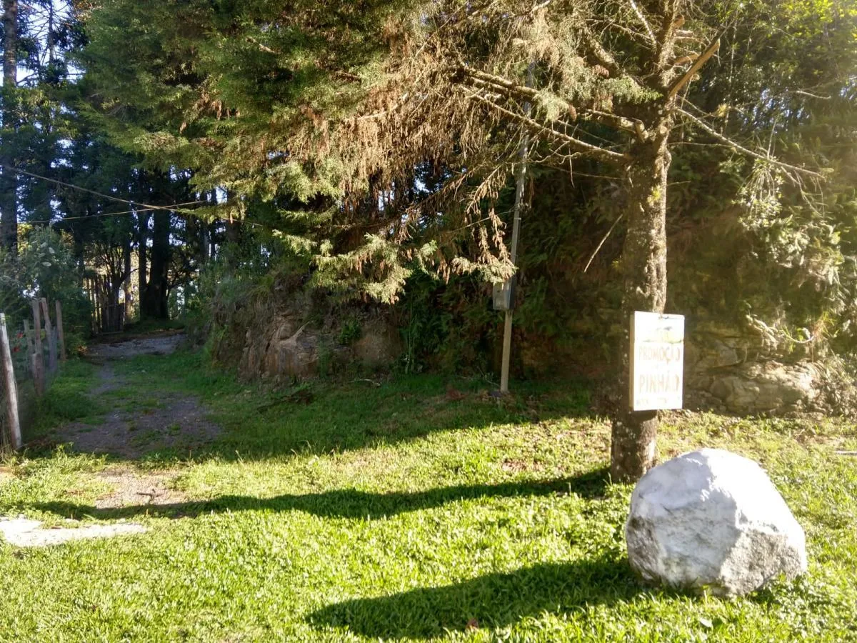 Imagem Terreno para Venda em São Francisco de Paula / RS