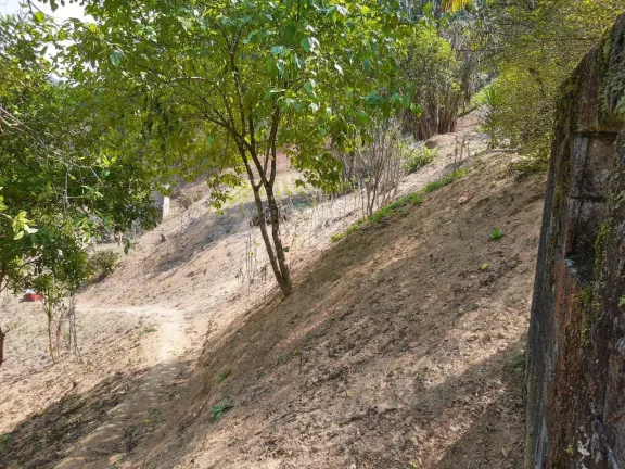 Imagem Sitio com 6 alqueires Tapiraí