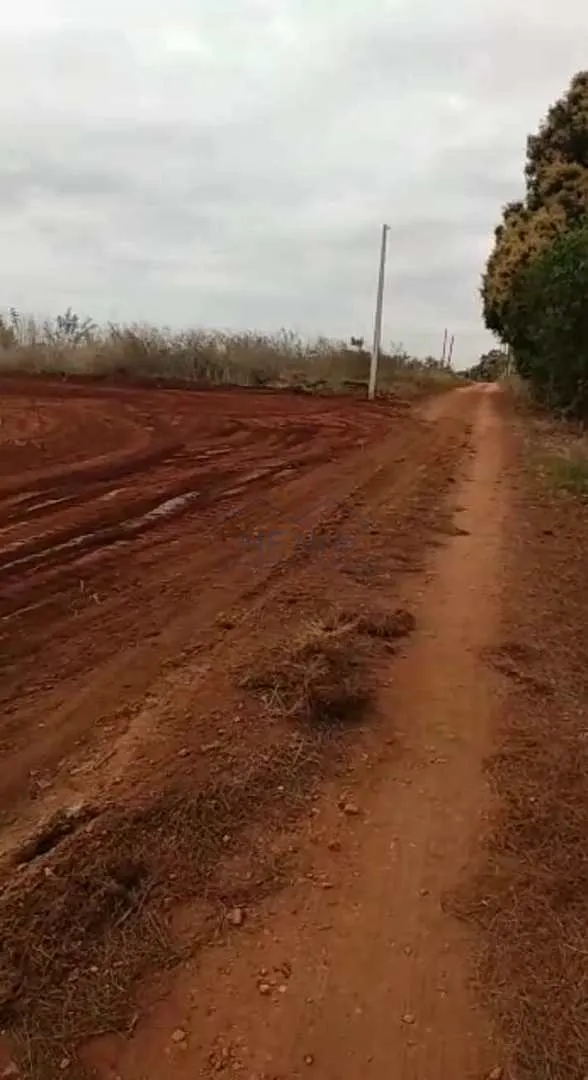 Foto do imóvel Terreno Padrão