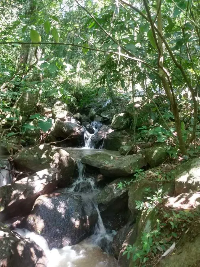 Imagem Chácara para venda, bairro Voluntário Baixo em Igrejinha/RS.