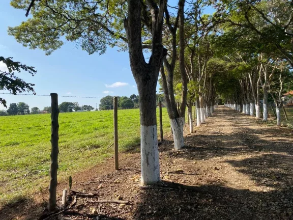 Imagem Sítio formado com 4 alqueires