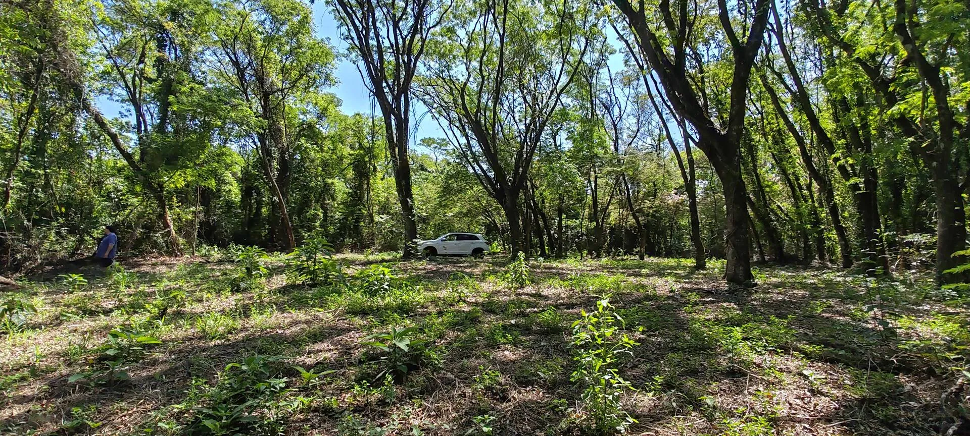 Imagem Chácara a venda em Cascavel, com 2,0992 hectare cada uma e matrícula indiviauais.