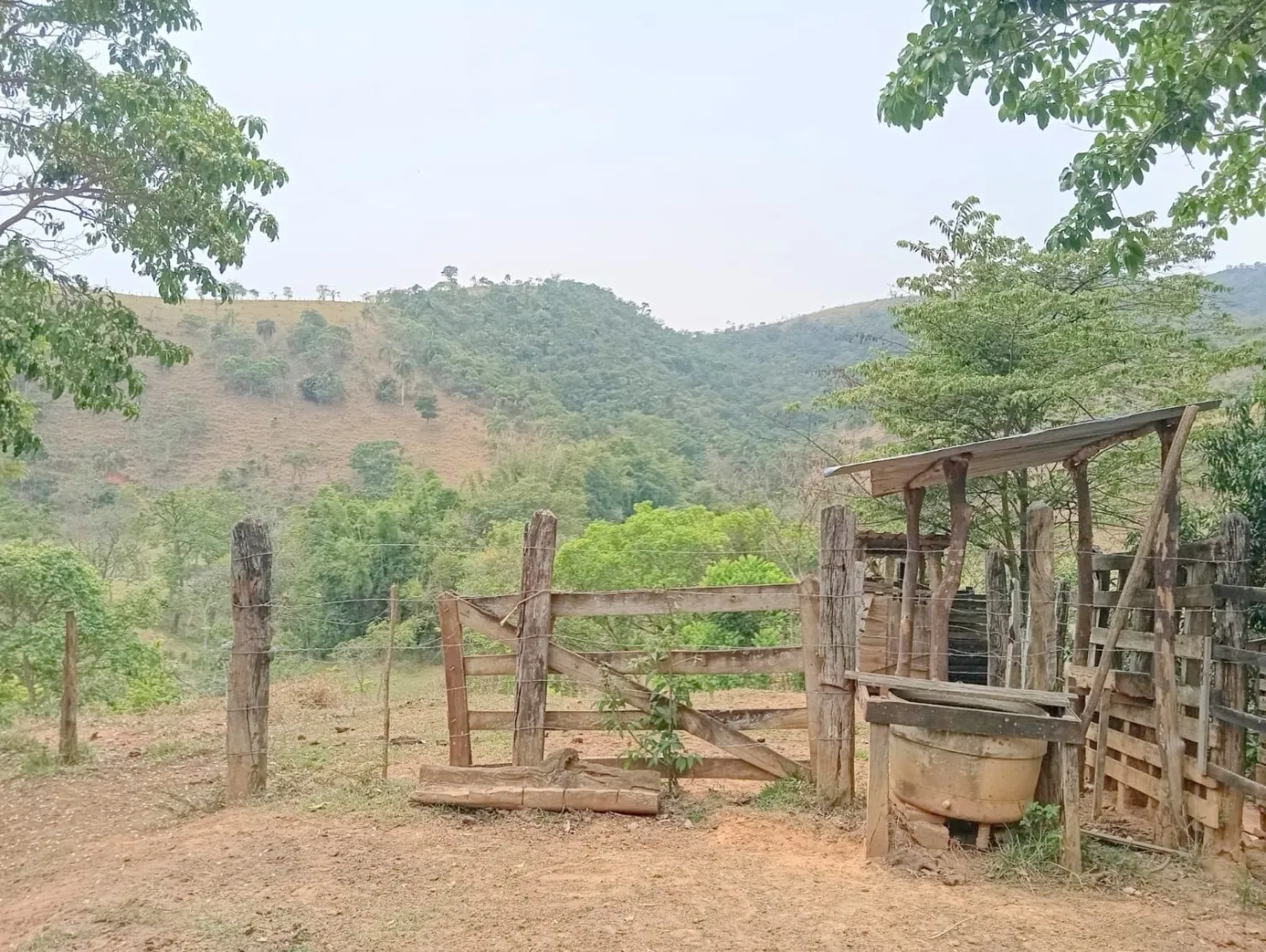 Imagem Fazenda proxima a Dutra paraa venda, , Roseira Velha, SP
