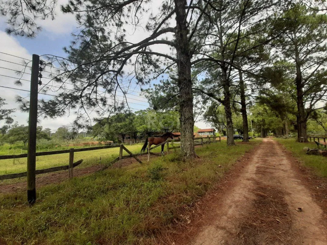 Imagem Sítio para Venda - 120217m², 0 dormitórios, Campo Novo